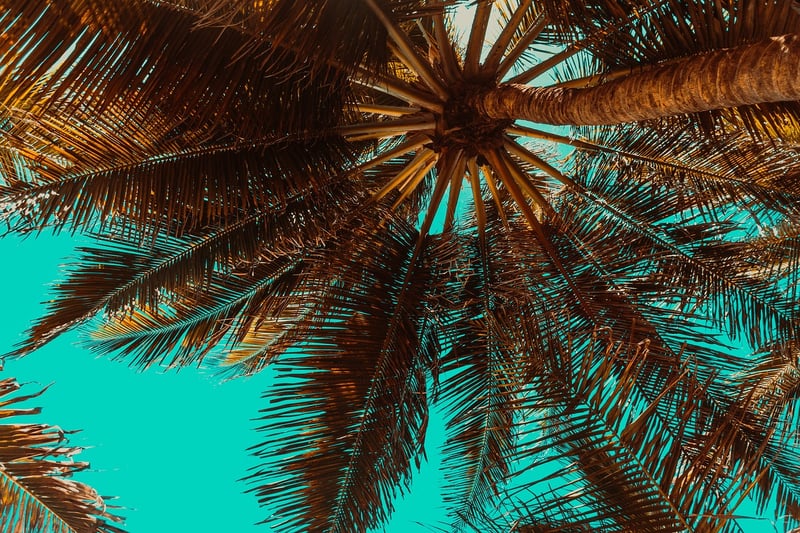 Tropical Island Beach